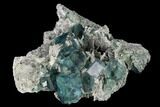 Gorgeous, Blue-Green Fluorite on Sparkling Quartz - China #146640-2